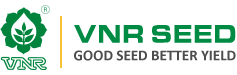 Client VNR seeds 
