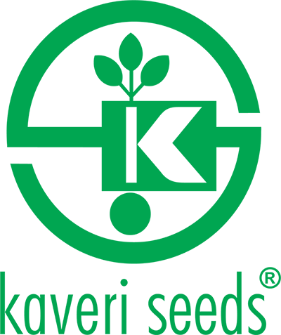 Client Kaveri seeds 