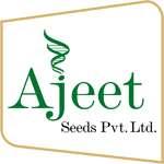 Client Ajit seeds 